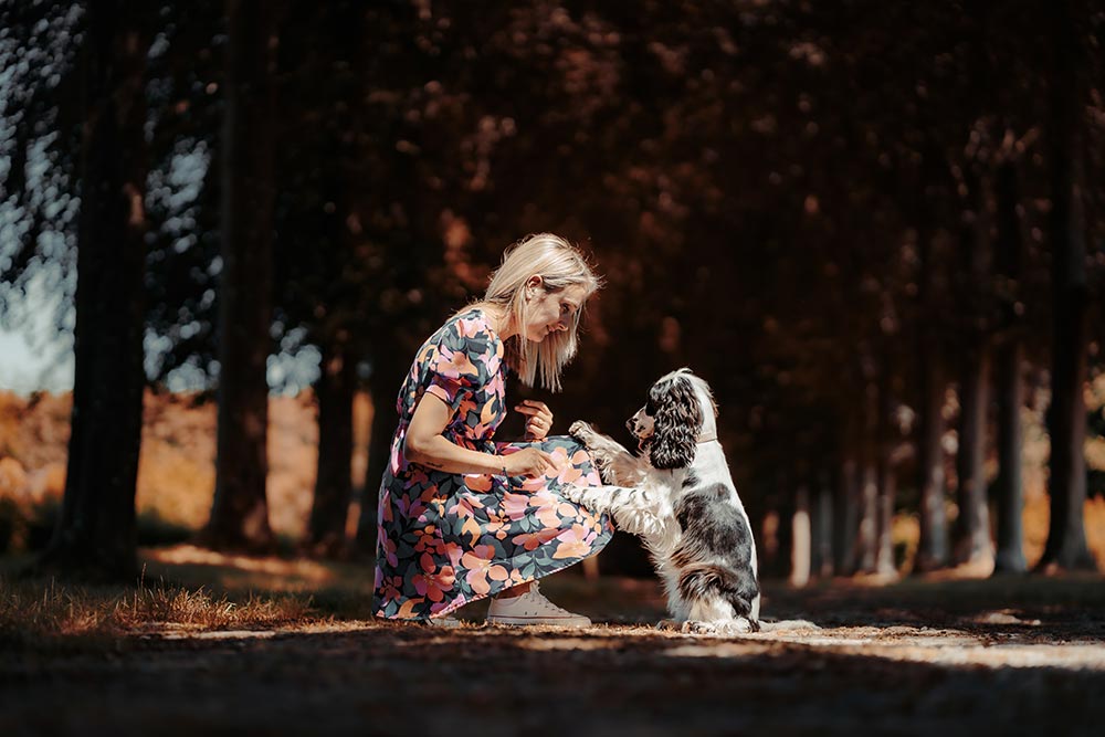 Séance photo animaux de compagnie