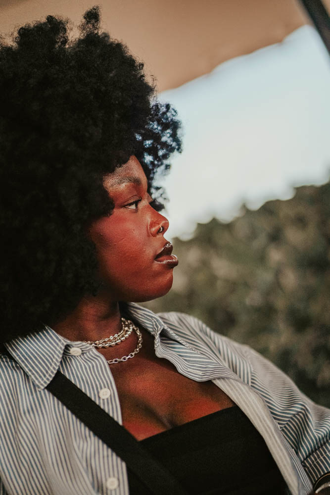 Concerts & Festivals