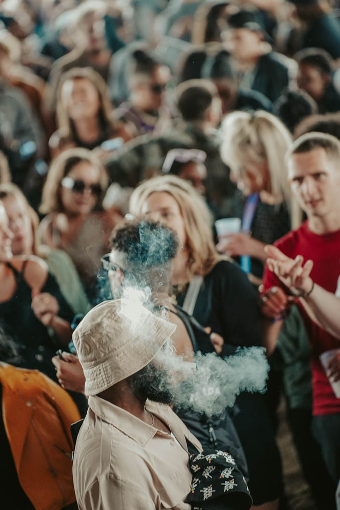 Concerts & Festivals