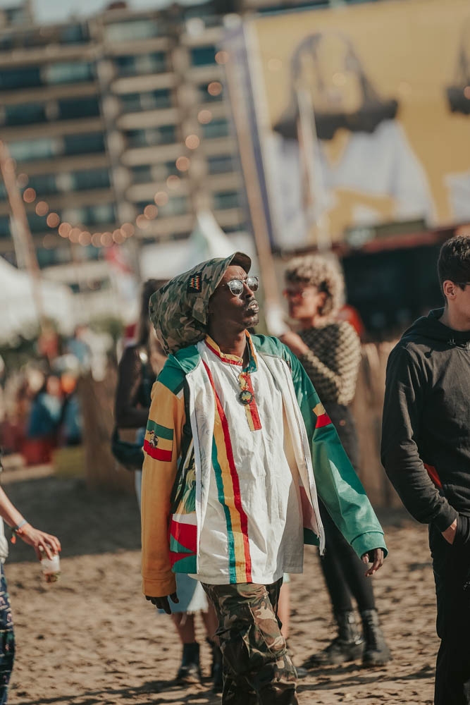 Concerts & Festivals