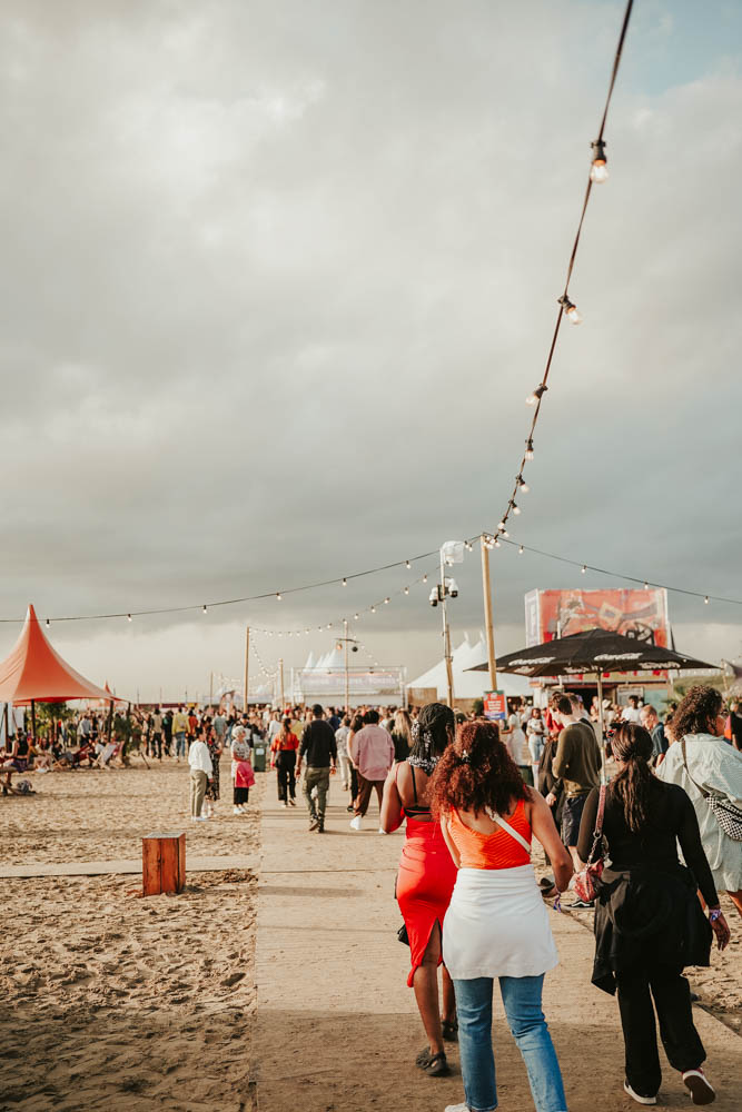 Concerts & Festivals