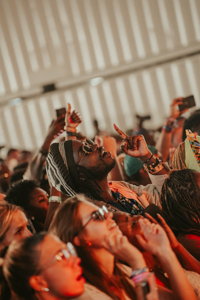 Concerts & Festivals