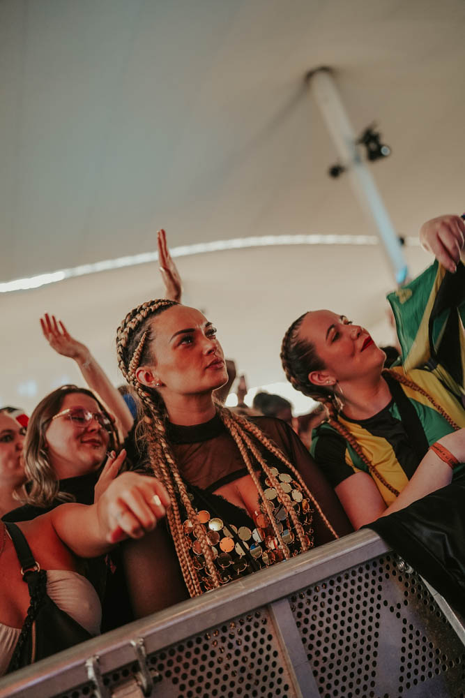 Concerts & Festivals