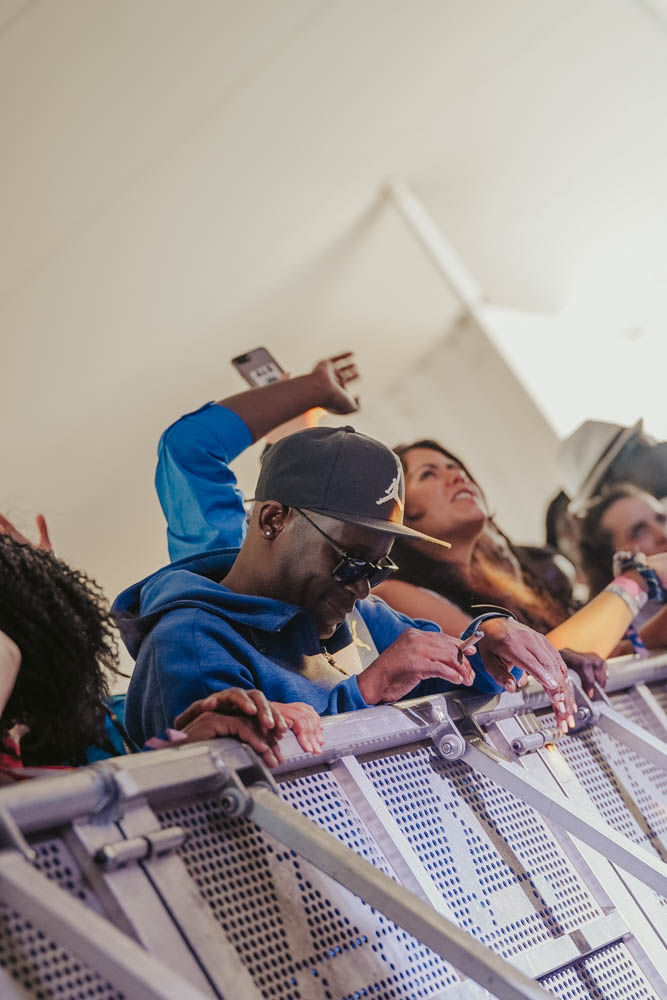 Concerts & Festivals