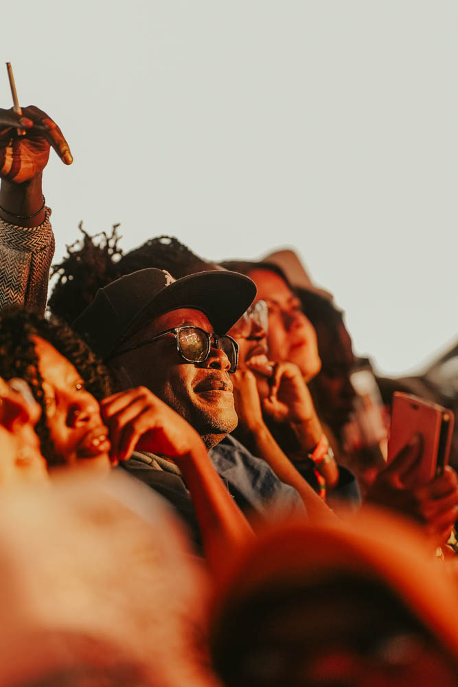 Concerts & Festivals