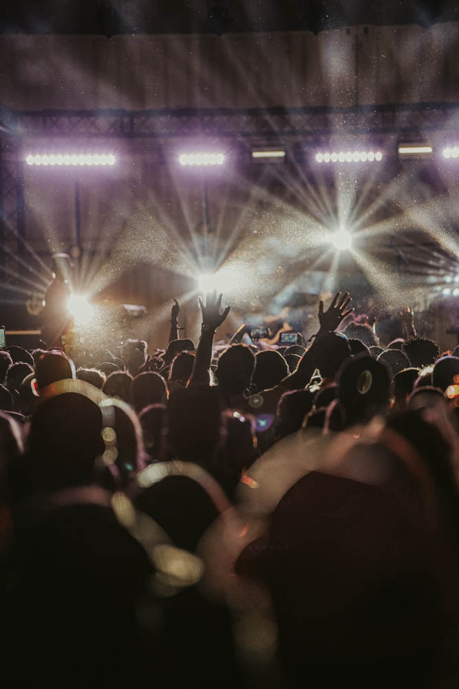 Concerts & Festivals