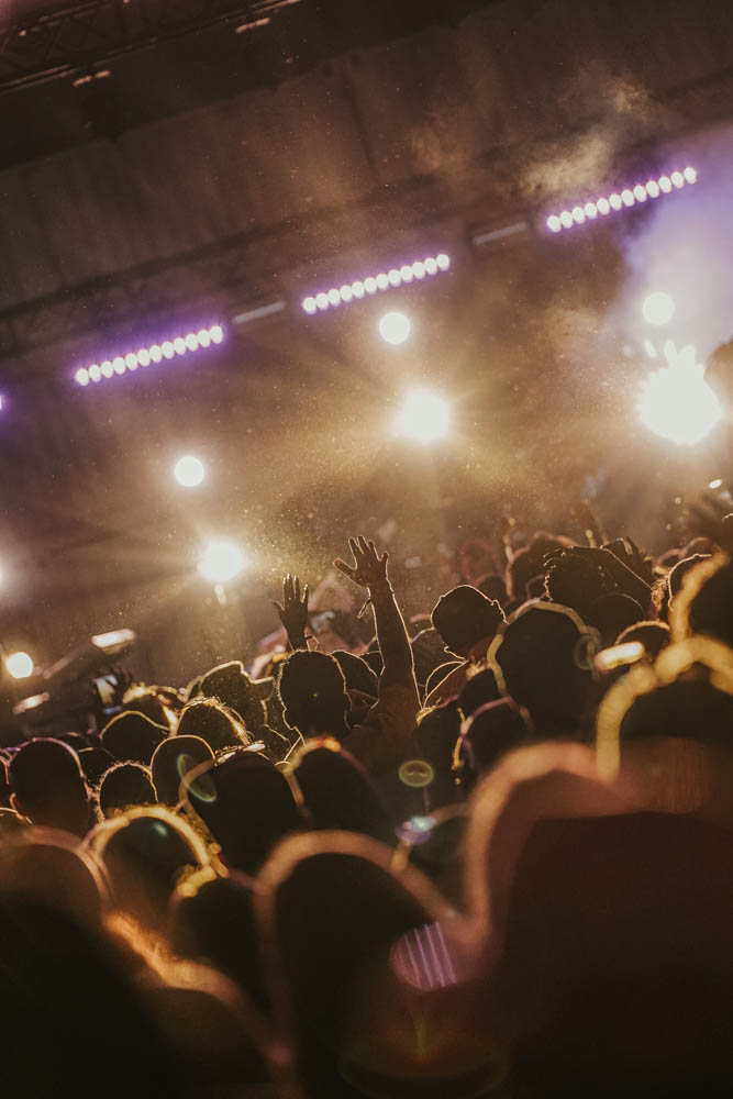 Concerts & Festivals