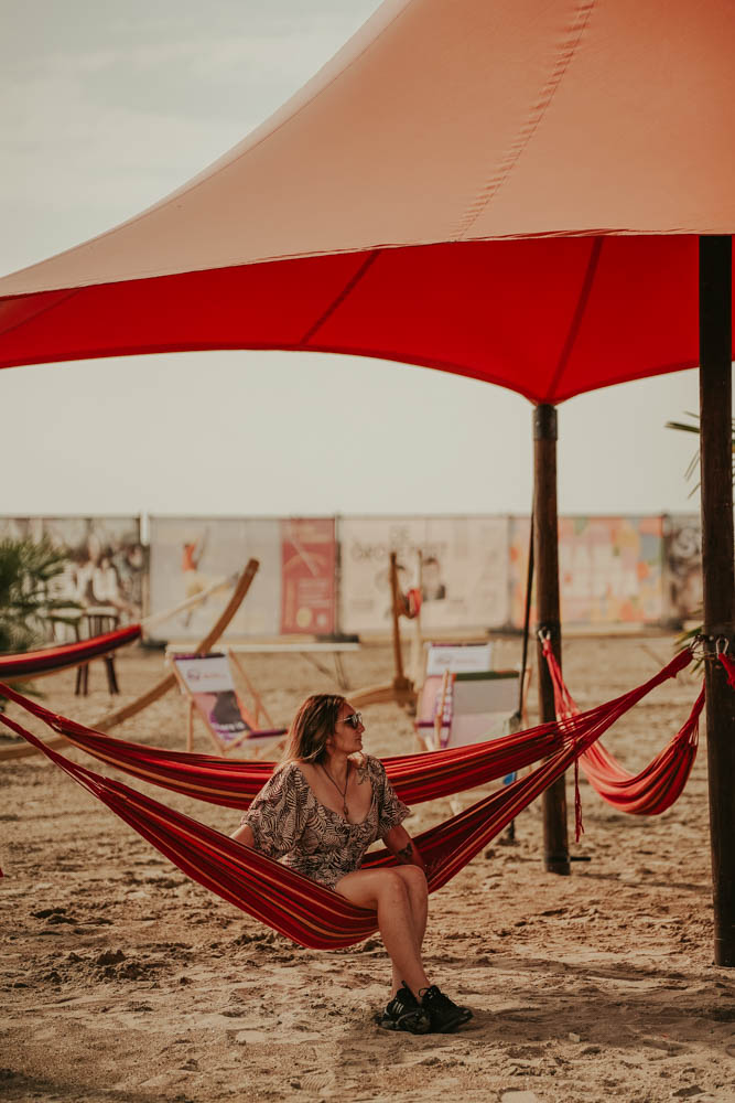 Concerts & Festivals