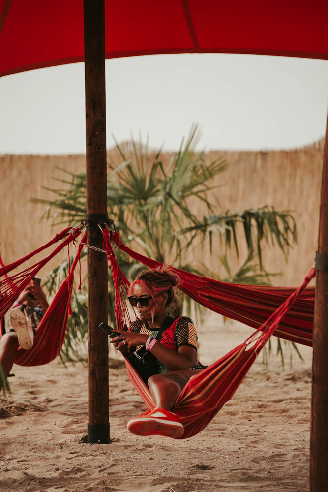 Concerts & Festivals