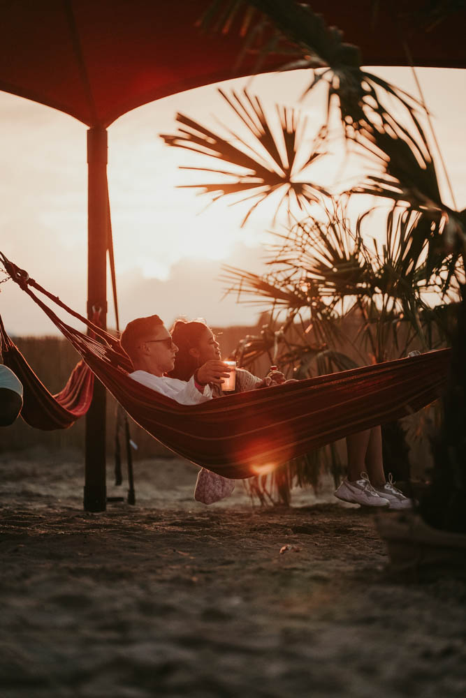 Concerts & Festivals