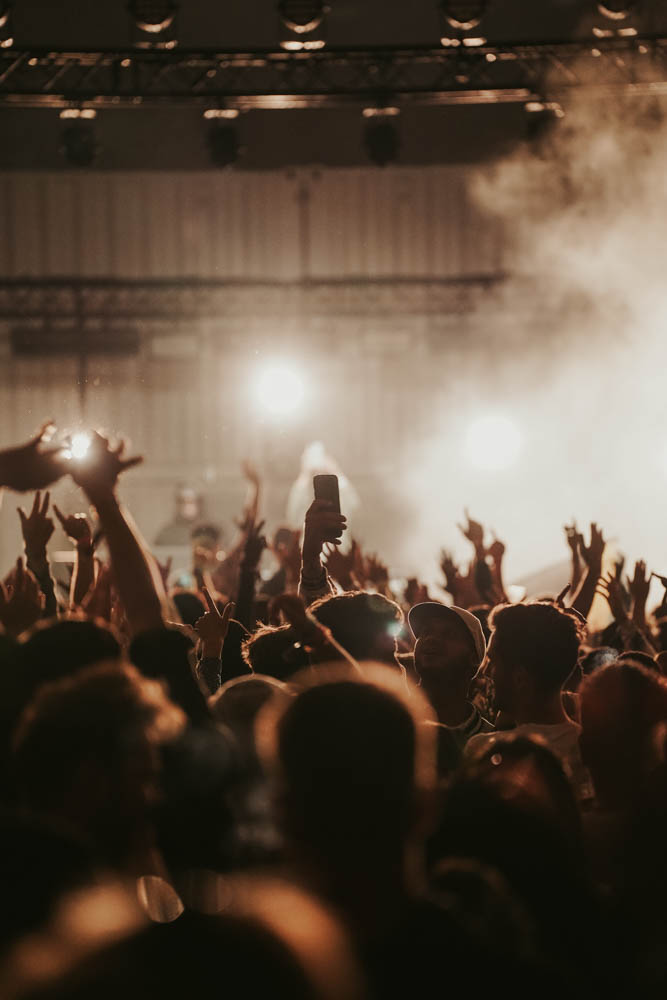 Concerts & Festivals